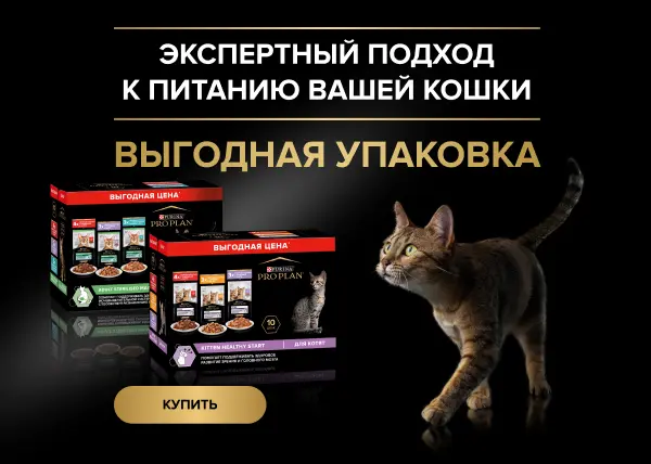 Выгодная упаковка Pro Plan