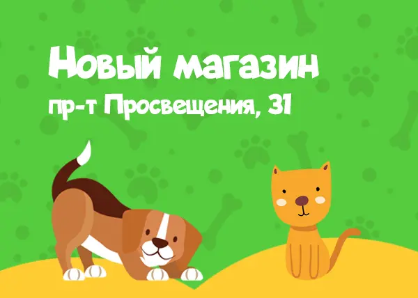 Новый магазин на проспекте Просвещения, 31
