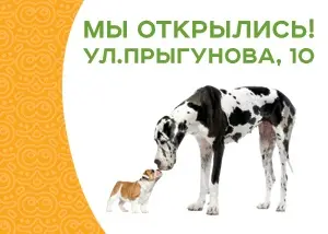 Новый розничный магазин ЗооОптТорг