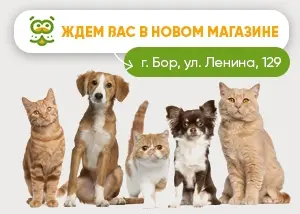 Новый магазин в г. Бор!
