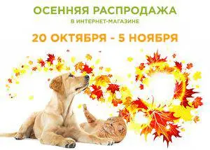 Осенняя распродажа в интернет-магазине