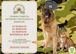 График работы в феврале