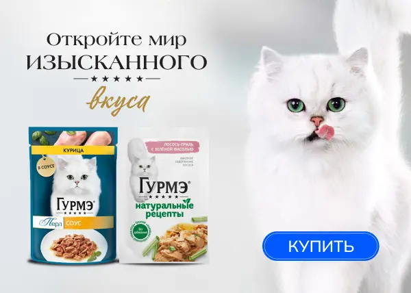 Скидка до 18% на влажные рационы Гурмэ