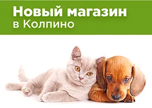 Новый магазин на улице Братьев Радченко, 5/27А