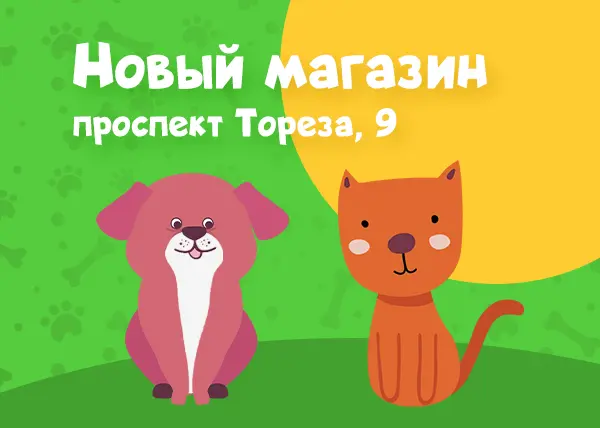Новый магазин на улице Тореза, 9