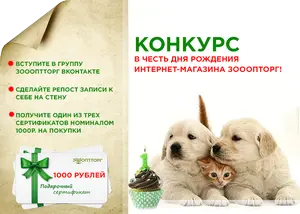 Конкурс в честь дня рождения ЗооОптТорг