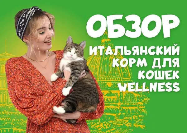 Видео: обзор итальянского сухого корма для кошек Wellness Cat&Co
