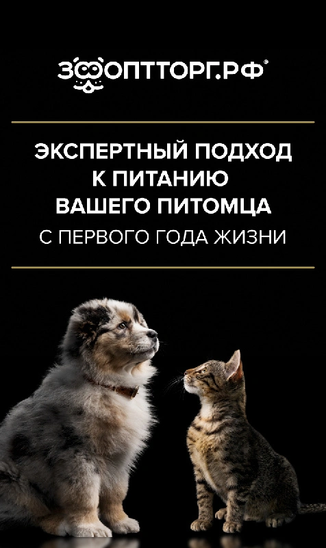 ProPlan рационы котята