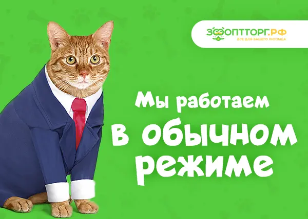 Работаем для вас даже в локдаун!