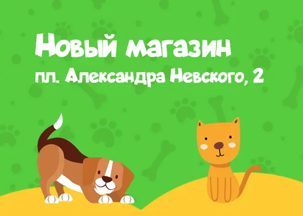 Новый магазин на площади Александра Невского, 2