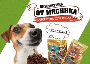 Вкуснятина от Мясника: вяленые лакомства для собак!