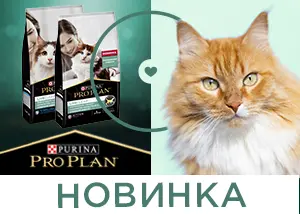 Новинка от Purina Pro Plan! LiveClear - корм для кошек, уменьшающий количество аллергенов!