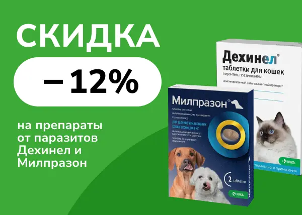 Скидка 12% на препараты от паразитов Дехинел и Милпразон Скидка 12% на препараты от паразитов Дехинел и Милпразон