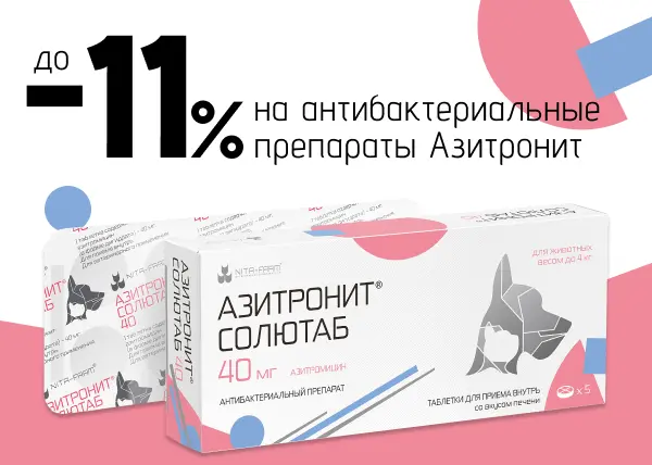 Скидка до 11% на антибактериальные препараты Азитронит Скидка до 11% на антибактериальные препараты Азитронит