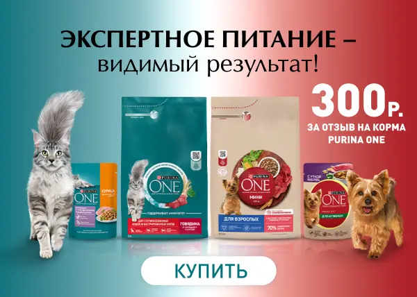 300 рублей за отзывы на продукты Purina