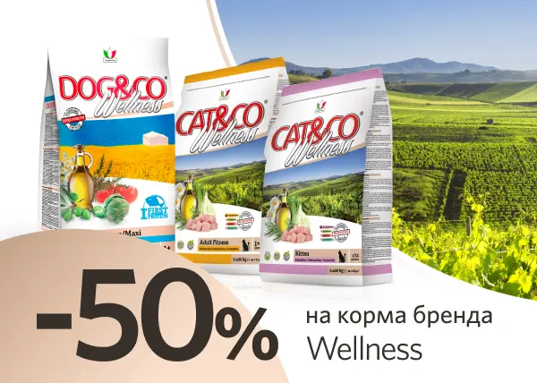 Скидка 50% на корма для кошек и собак Wellness Скидка 50% на корма для кошек и собак Wellness