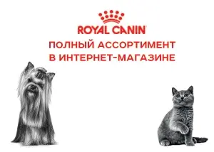 Ассортимент Royal Canin