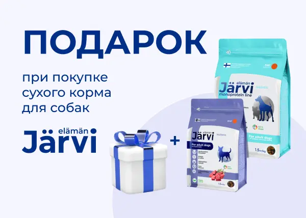 Подарки при покупке сухого корма JARVI для собак Подарки при покупке сухого корма JARVI для собак