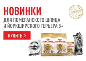 Roal Canin для померанского шпица и йоркширского терьера