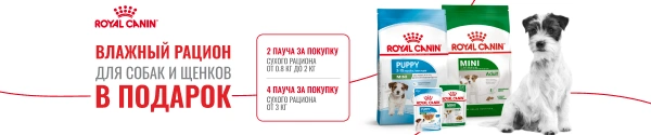 Паучи в подарок за покупку сухого корма Royal Canin для собак