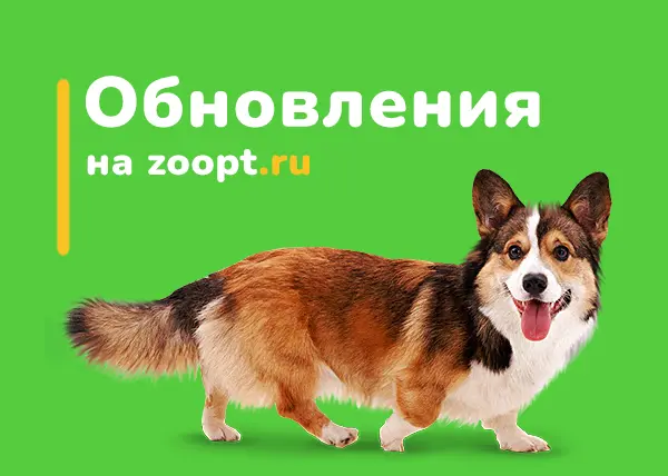 Обновления: раздел «Избранное» и сортировка товаров