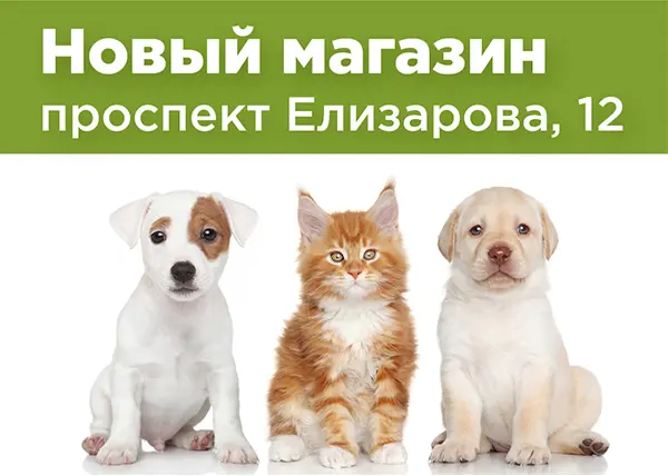 Новый магазина на проспекте Елизарова, 12