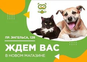 Новый магазин: пр. Энгельса, 128