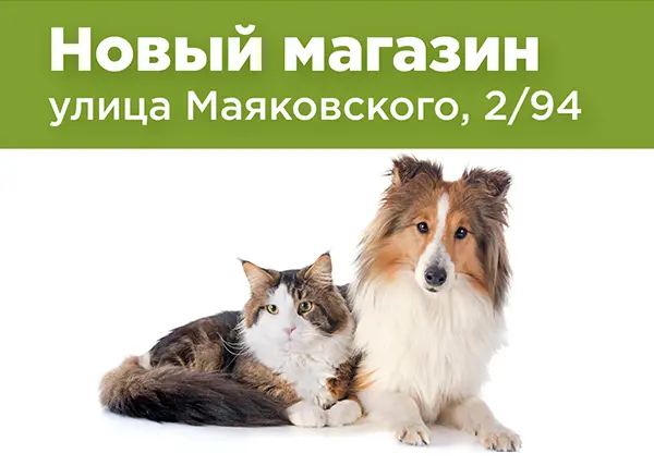 Новый магазин на улице Маяковского, 2/94