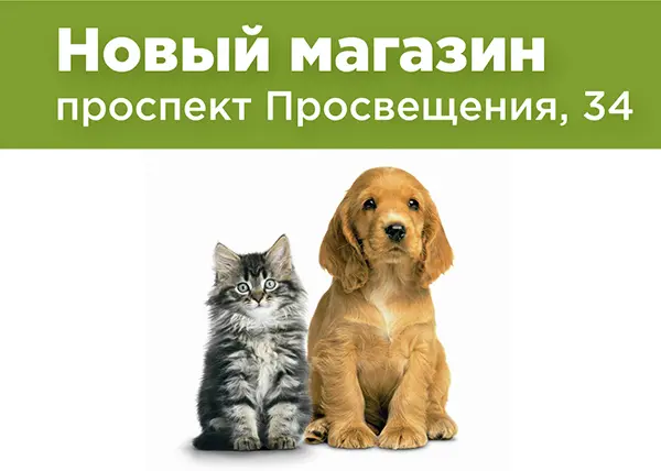 Новый магазин на проспекте Просвещения, 34
