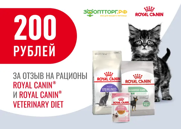 200 рублей за отзыв на продукцию Royal Canin и Royal Canin Veterinary Diet 200 рублей за отзыв на продукцию Royal Canin и Royal Canin Veterinary Diet