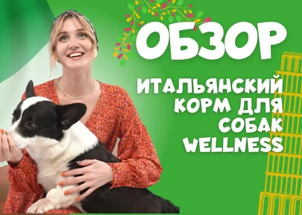 Видео: сухой корм для собак Wellness Dog&Co