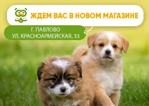 Новый магазин в г. Павлово