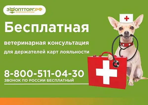 Бесплатная ветеринарная консультация специалиста
