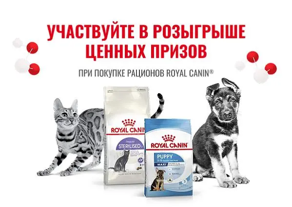 Розыгрыш призов за покупку Royal Canin от 2500 рублей в чеке