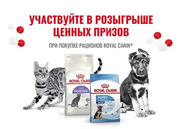 Розыгрыш призов за покупку Royal Canin от 2500 рублей в чеке Розыгрыш призов за покупку Royal Canin от 2500 рублей в чеке