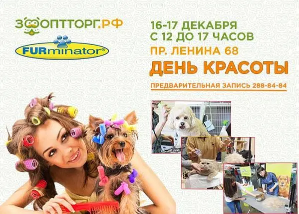 День красоты в ЗооОптТорг