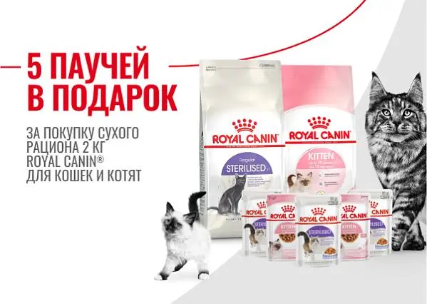 Паучи в подарок за покупку сухого корма Royal Canin для кошек	