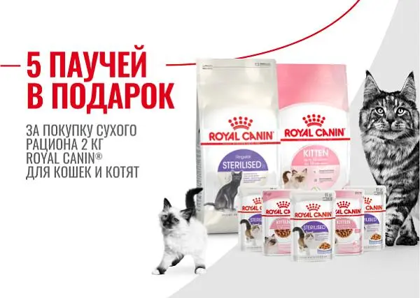 Паучи в подарок за покупку сухого корма Royal Canin для кошек Паучи в подарок за покупку сухого корма Royal Canin для кошек