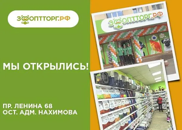 Торжественное открытие