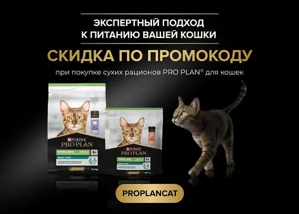 Промокод на покупку Pro Plan для кошек