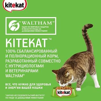 Kitekat сухой корм для кошек
