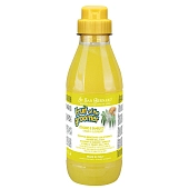 ISB Fruit of the Grommer Ginger&Elderbery Шампунь против раздражений и перхоти