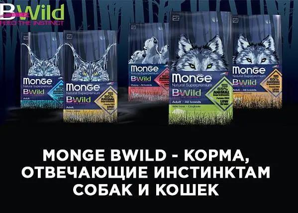 Новая линейка беззерновых кормов Monge Bwild!