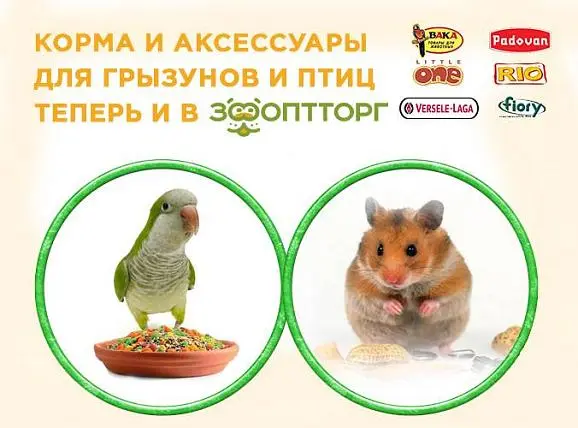 Корма, аксессуары для грызунов и птиц