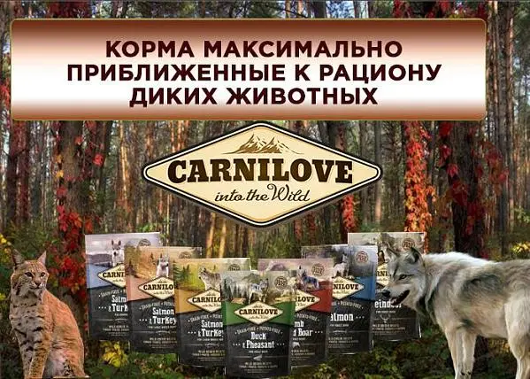 Новое поступление беззерновых кормов Brit Carnilove 