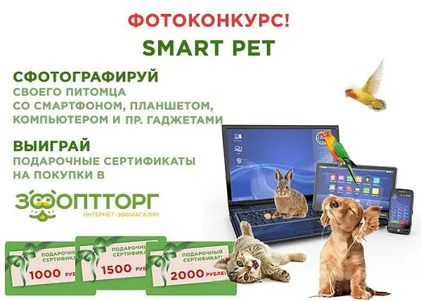 Фотоконкурс Вконтакте