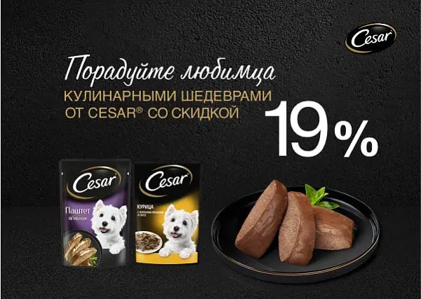 Скидка 19% на паучи для собак Cesar