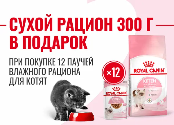 Сухой корм Royal Canin в подарок за покупку 12 паучей для котят Сухой корм Royal Canin в подарок за покупку 12 паучей для котят