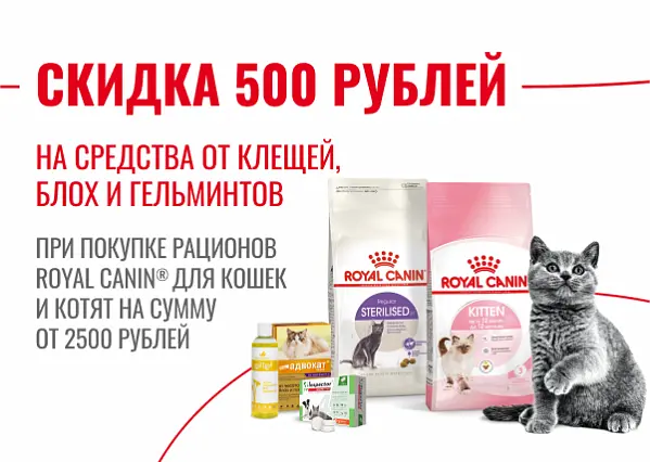 Скидка 500 рублей на препараты от клещей, блох и гельминтов при покупке продукции Royal Canin на сумму от 2500 рублей